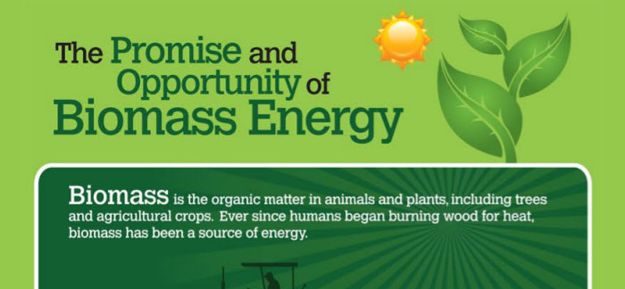 Biomass Pros and Cons