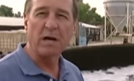 6 Pros and Cons of Fish Farming